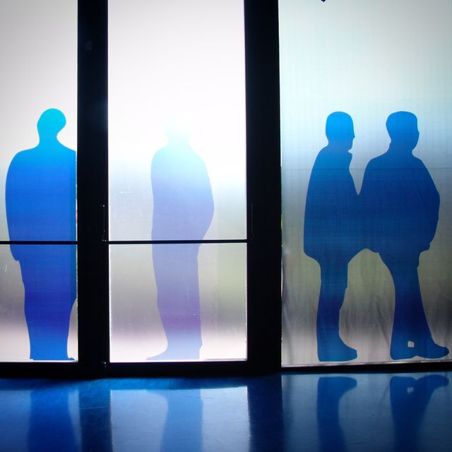 shadows