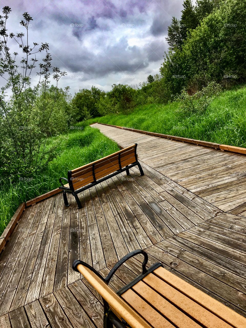 Walk on a Cloudy Day