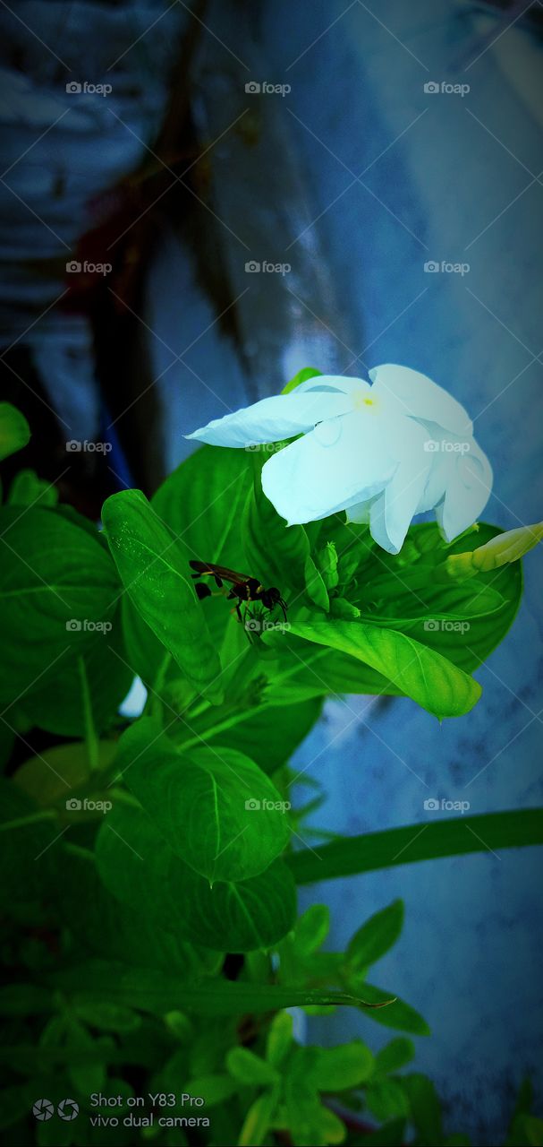 #foap #infoapartemen #foapjuly18 #foapaug18 #foapfeb18 #foapapril17 #foapers #foapjune18 #fotografoaprendiz #sfoapprentices #foaper #infoapartment #foapmission #foapmay18 #foapapr18 #foapit #infoaplikasipaytren #infoapple #foapom #foapjan19 #infoapp 