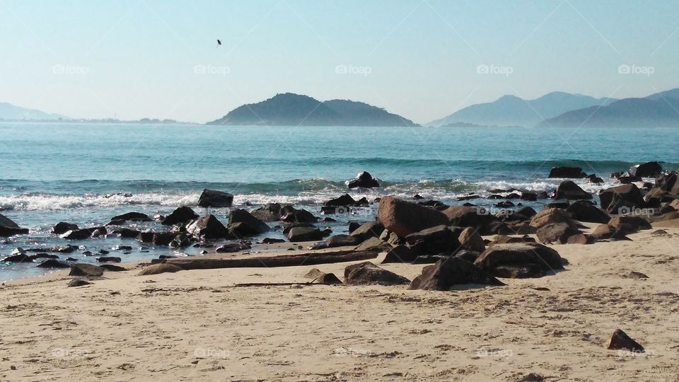 Beach, Seashore, Ocean, Water, Sea