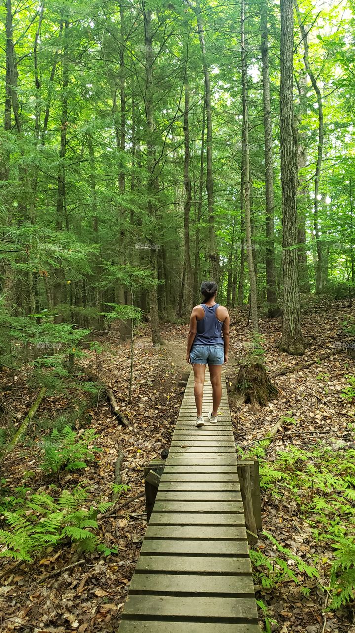 walk in the forest .