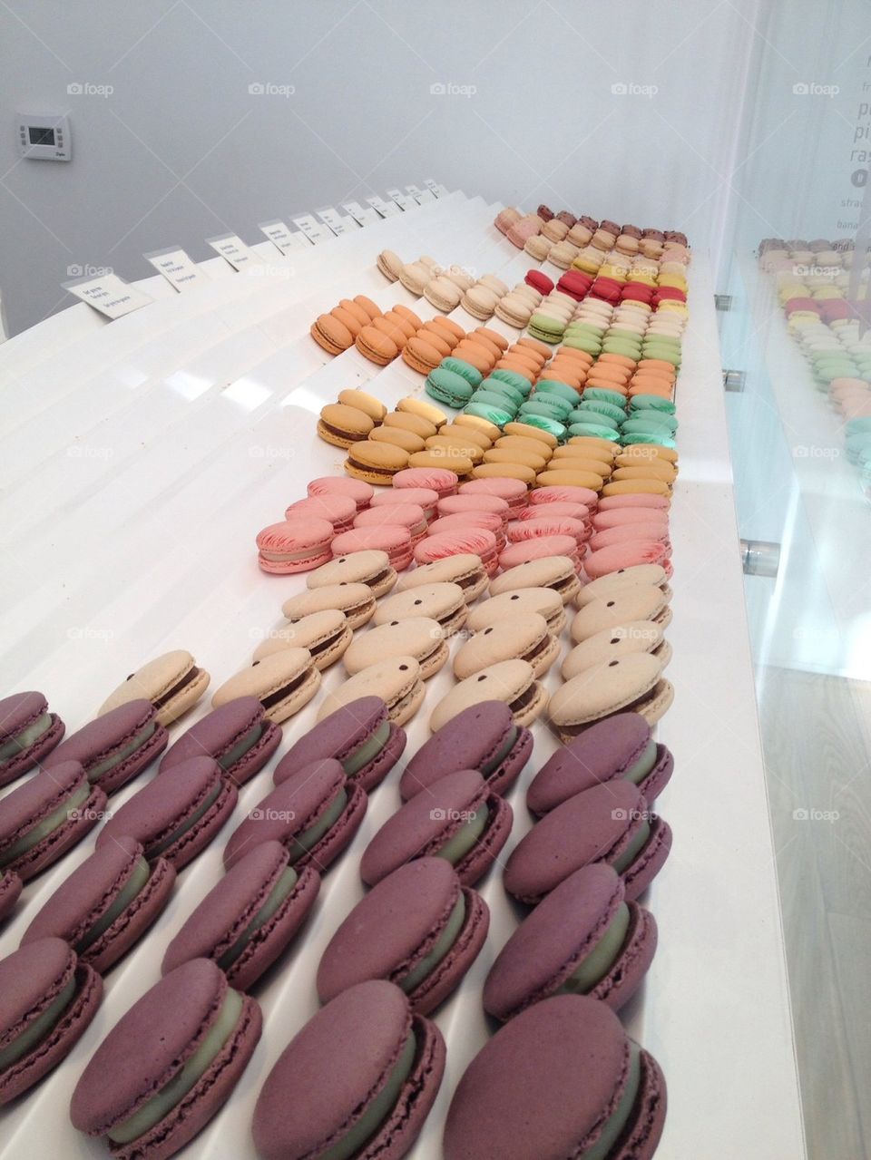 Macaroon sea