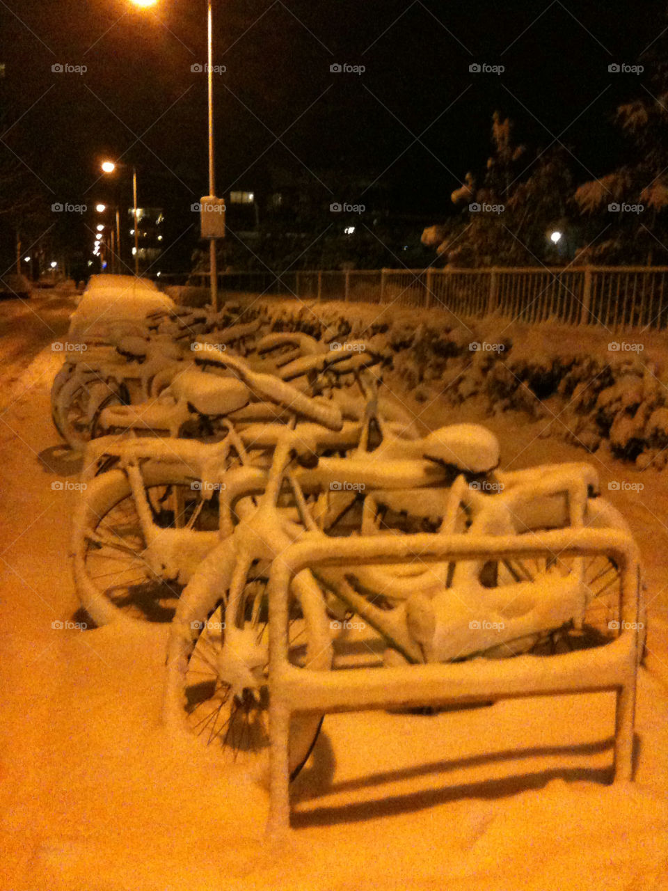 Bikes in the snow