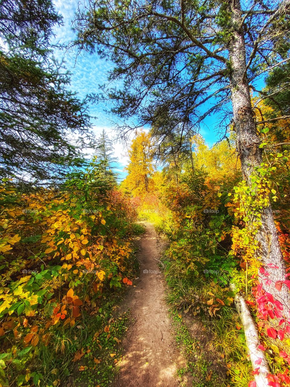 Nature trail