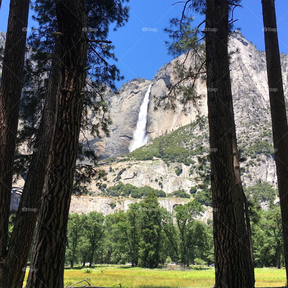 Waterfall At Yosemite 