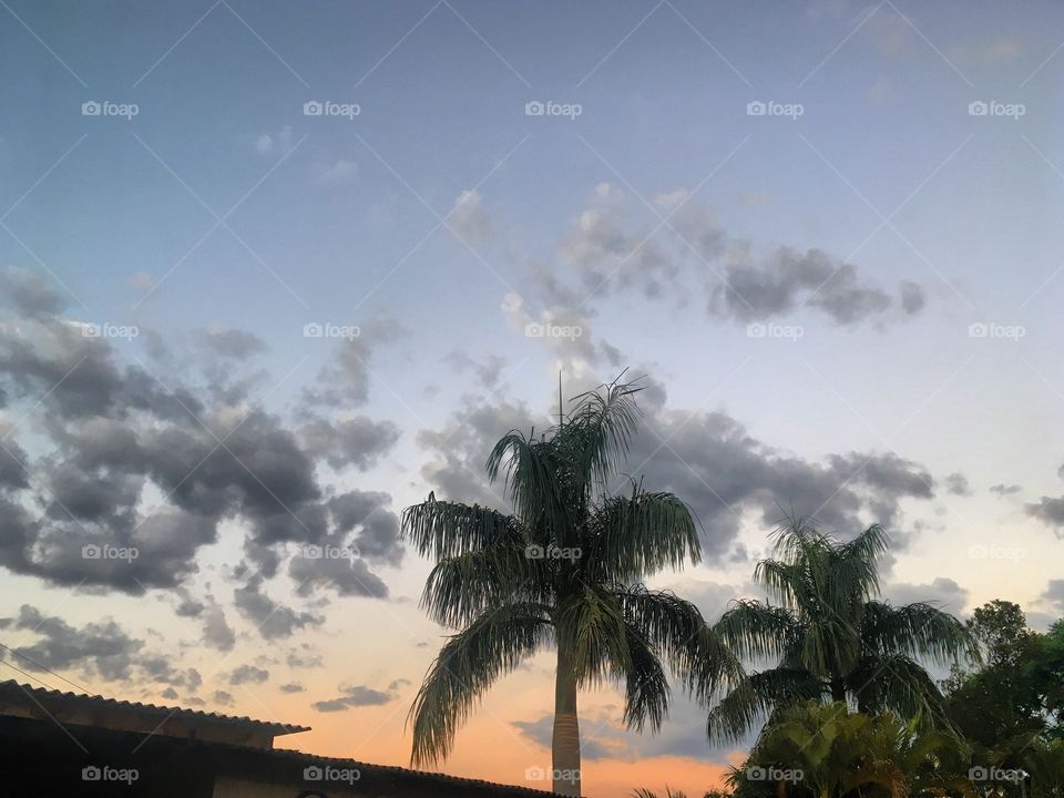 🇧🇷 O amanhecer em Jundiaí, no interior do Brasil, nesta terça-feira. Viva a natureza!
🇺🇸 Morning in Jundiaí, in the interior of Brazil, this Tuesday. Cheer the nature!