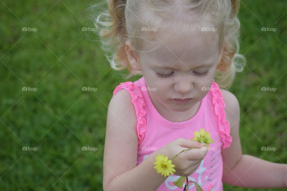 Toddler smelling a flower. Girl doesn't like the smell of this flower