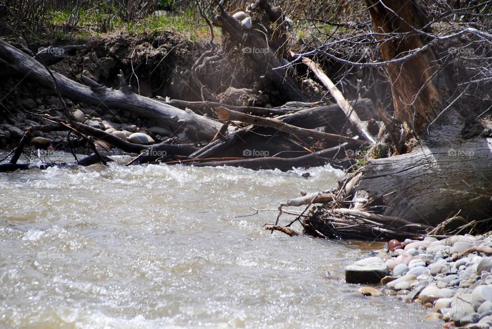 Spring Run Off Tangle