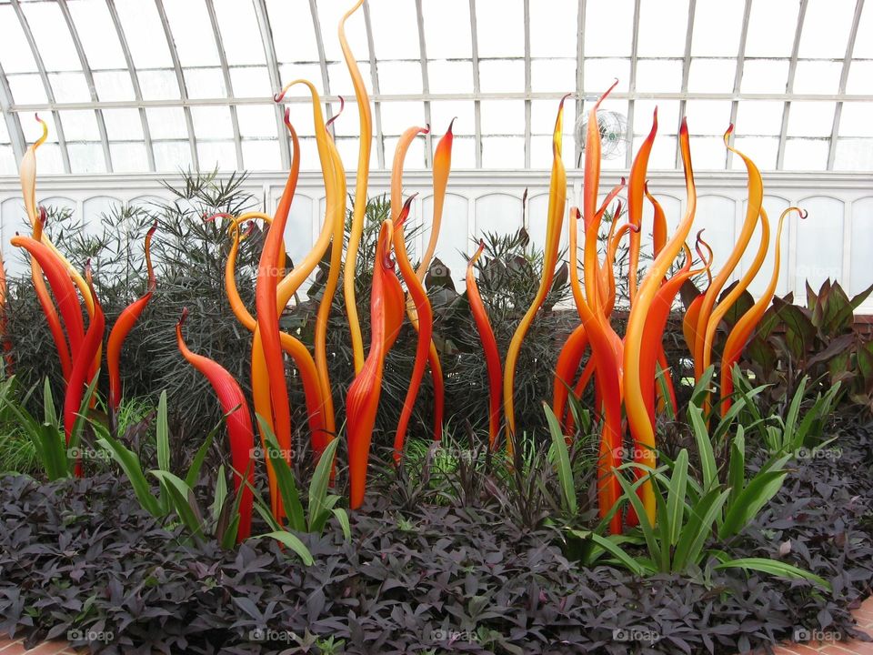 Pittsburgh Botanical Garden - Chihuly