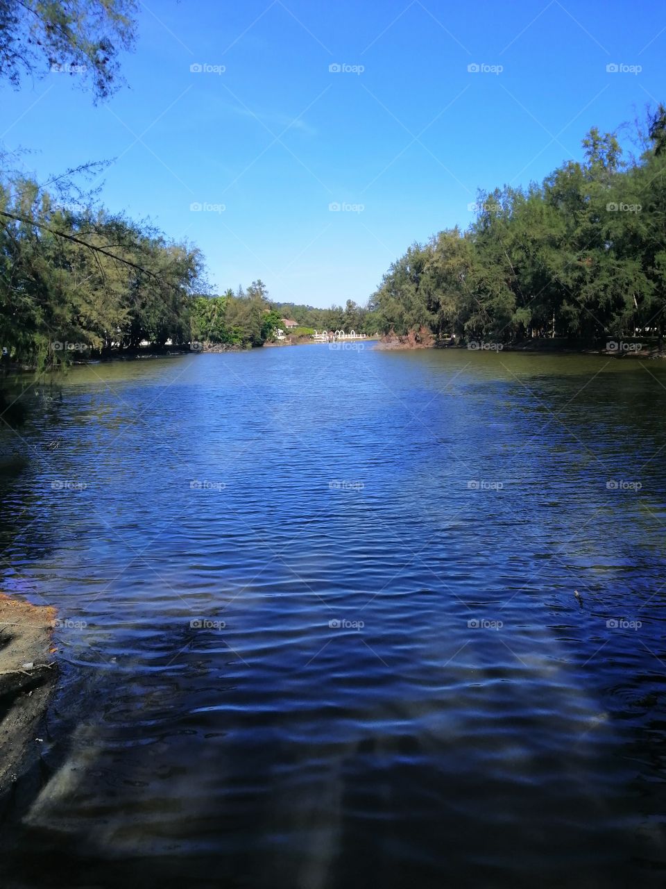 Green plant, blue sky and blue river