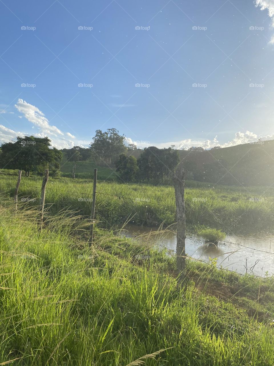 Tarde ensolarada 