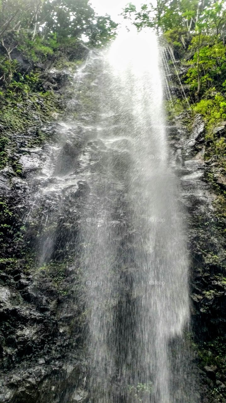 Standing underneath Uluwehi Falls ska Secret Falls in East Kauai. It was absolutely exhilarating..