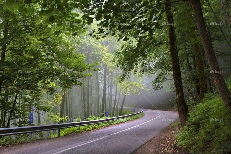 Iran, Nature, Ramsar