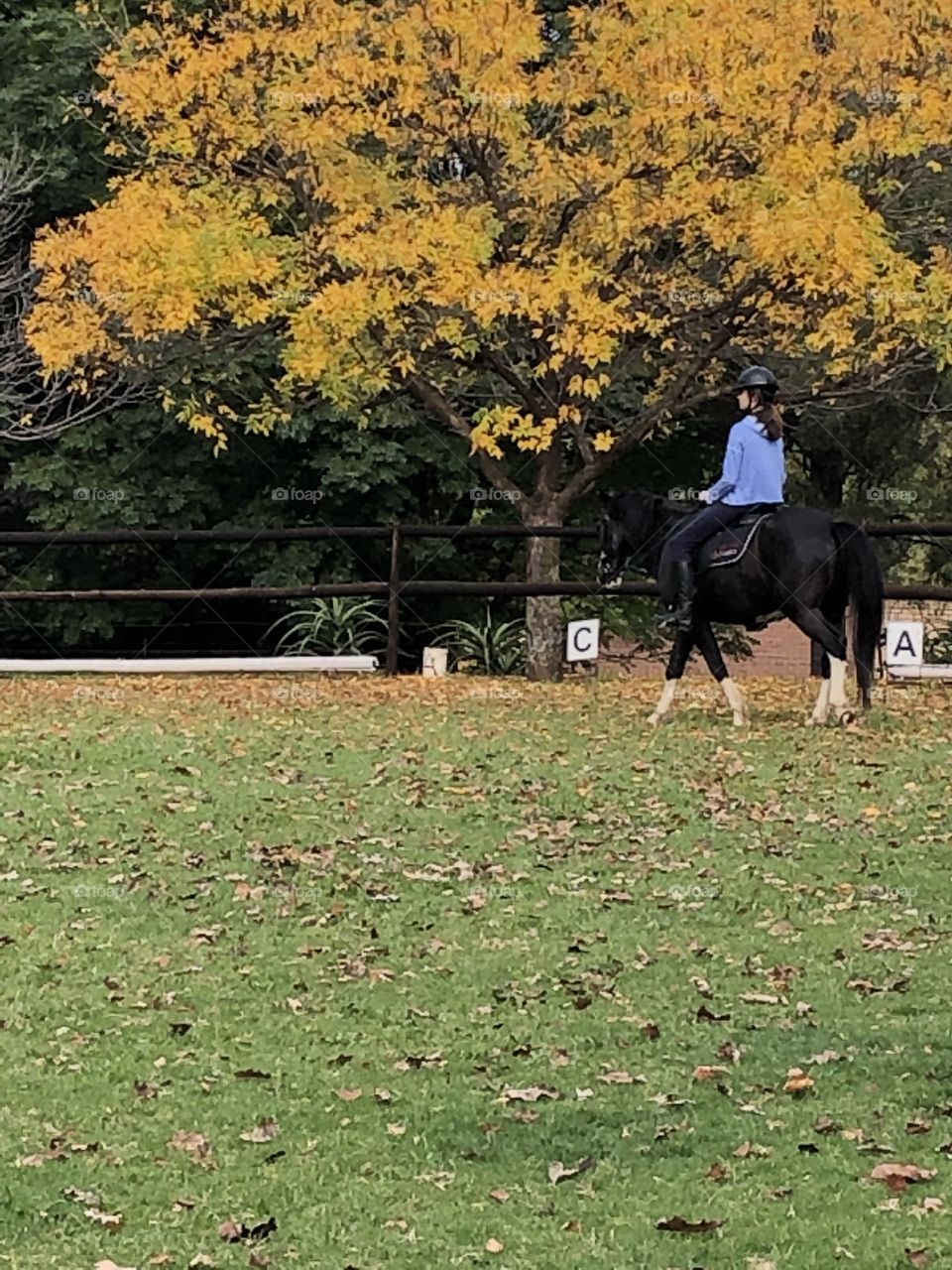 Autumn horse ride