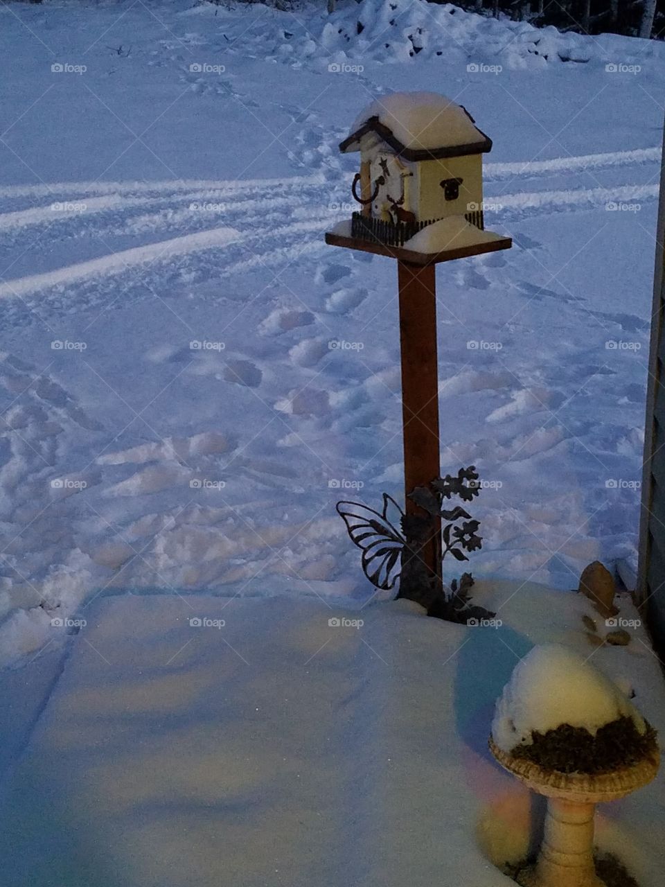 winter bird house