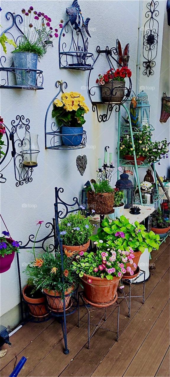 This is a beautiful garden in rural “Lower Bavaria”, Germany with bushes, trees, flowers, various garden ornaments and hanging plants. 2024. Hypnotic Productions