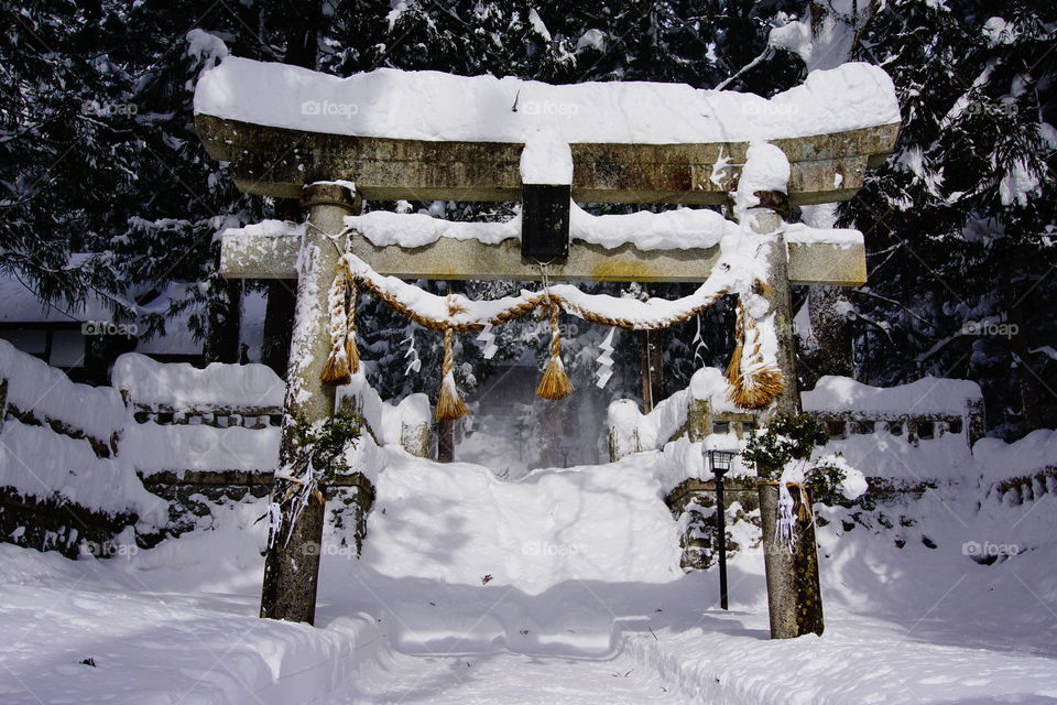 Hakuba Shrine Tori Gate