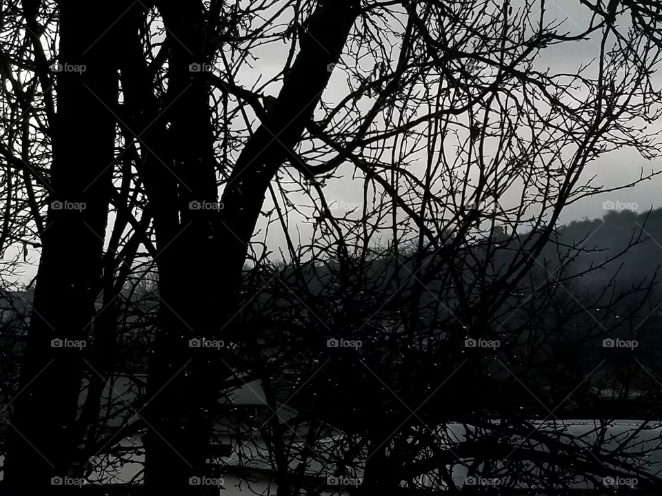 rain