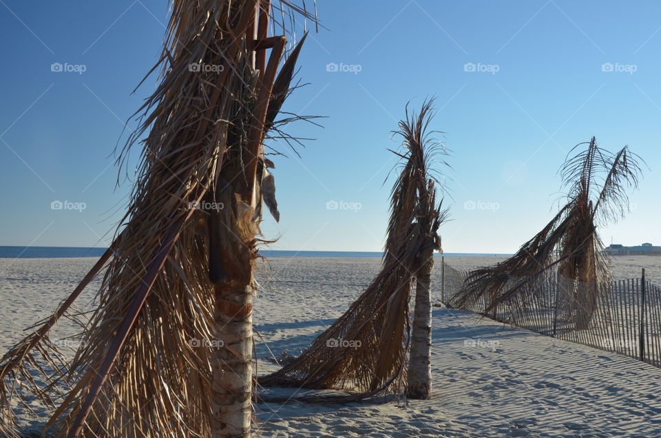 Sunday's walk on the beach