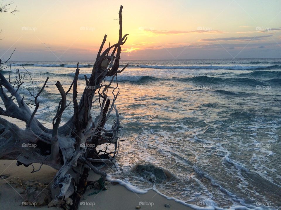 Sunset at the sea