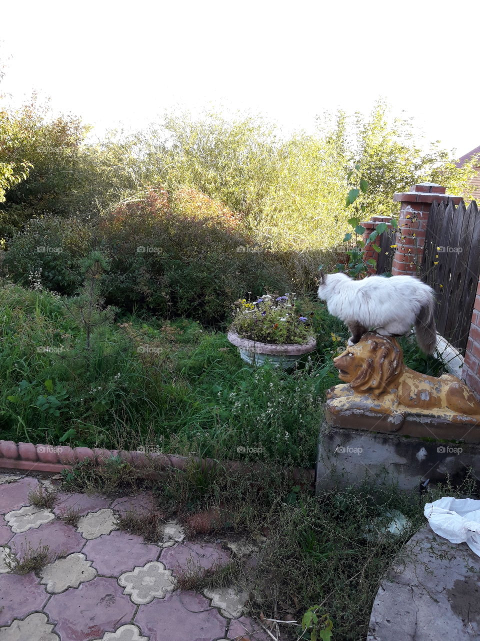 Город осенью