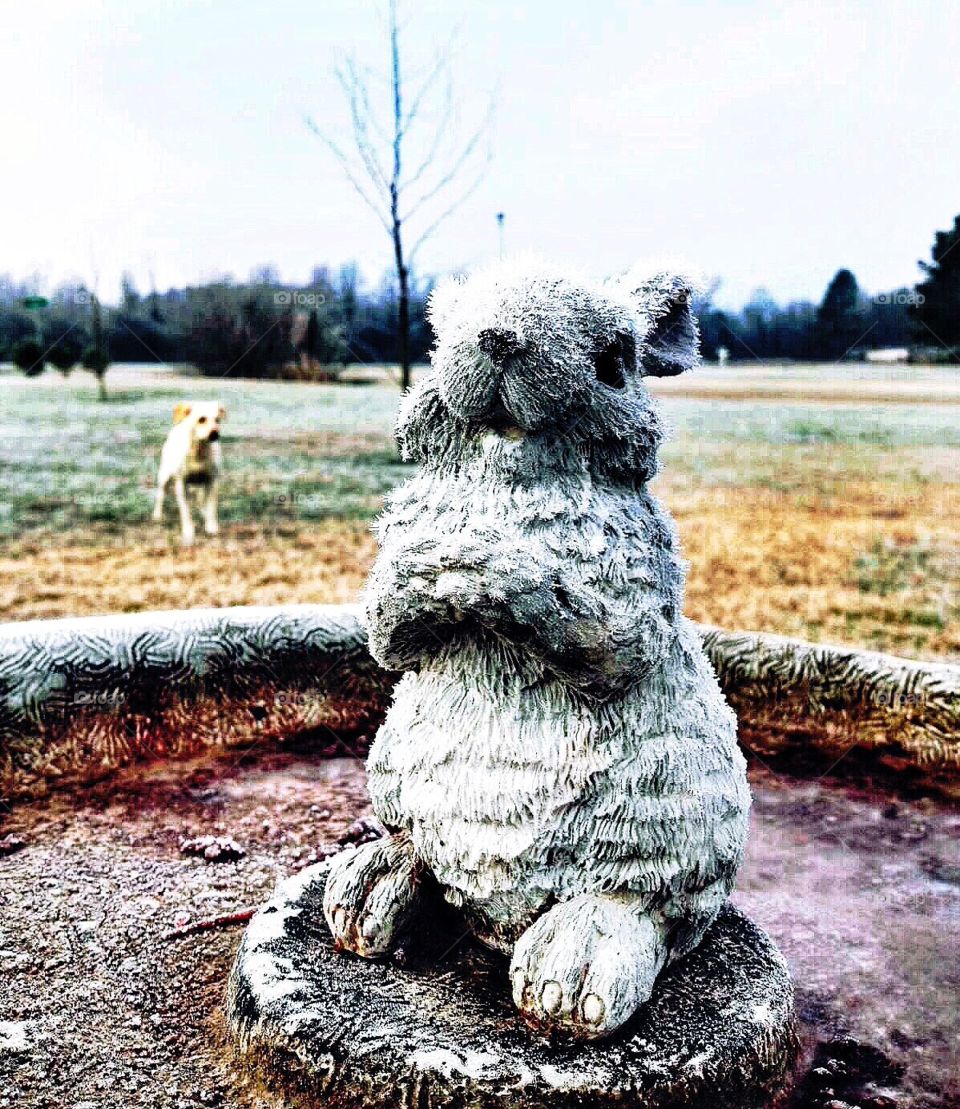 Squirrel statue with frost 