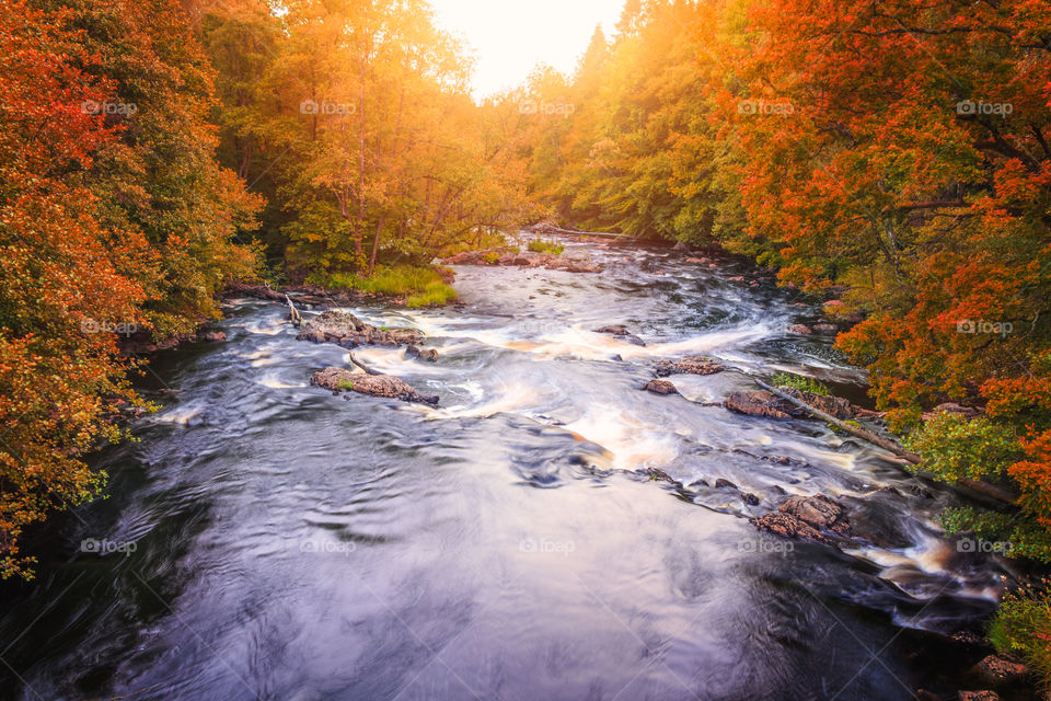 Fall, No Person, Water, River, Leaf