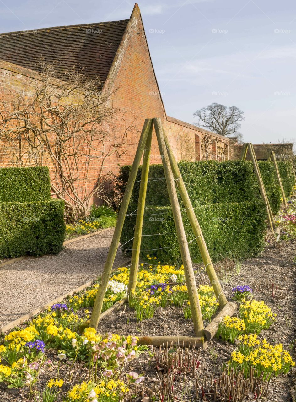 Garden. Stately home 