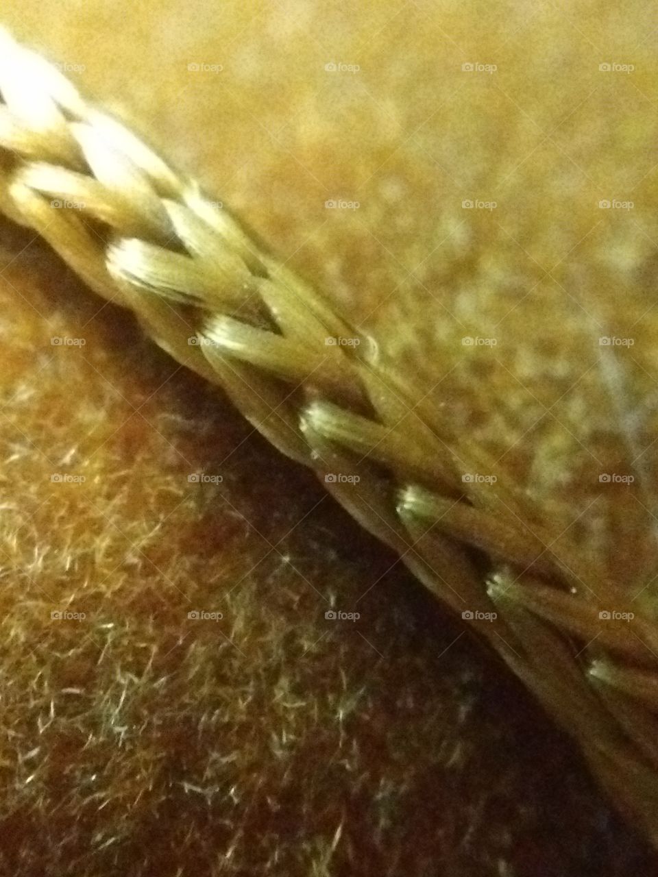 gold braid