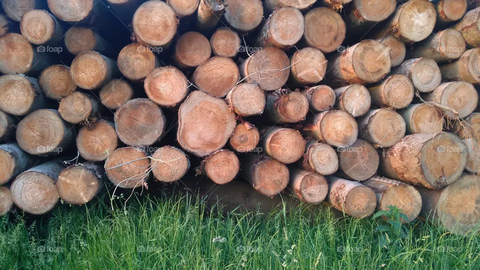 wood