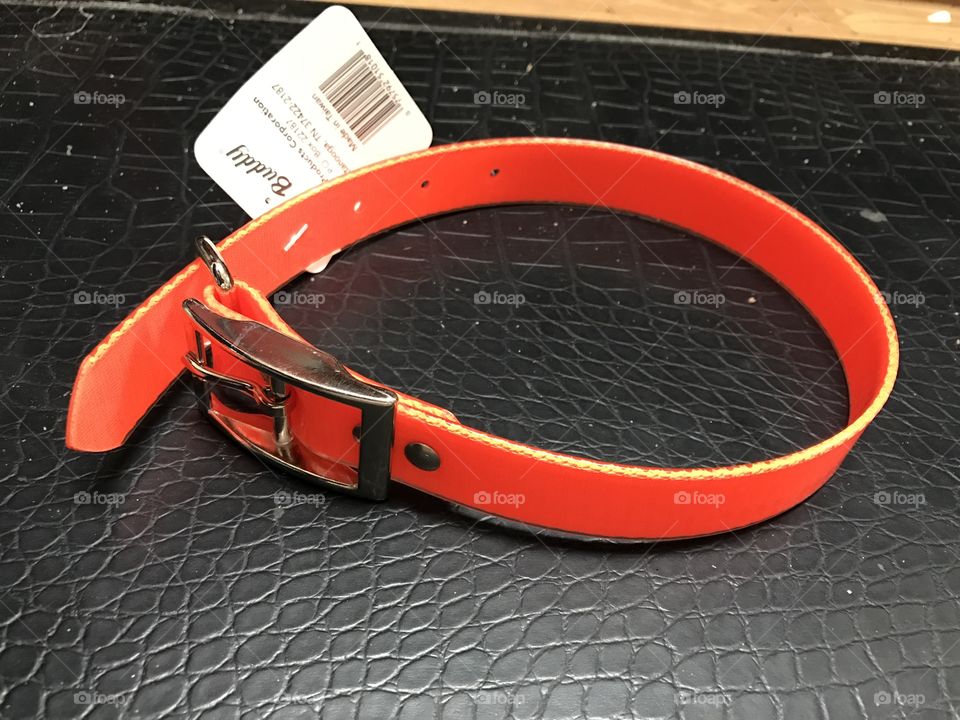 Need a collar for your doggy?