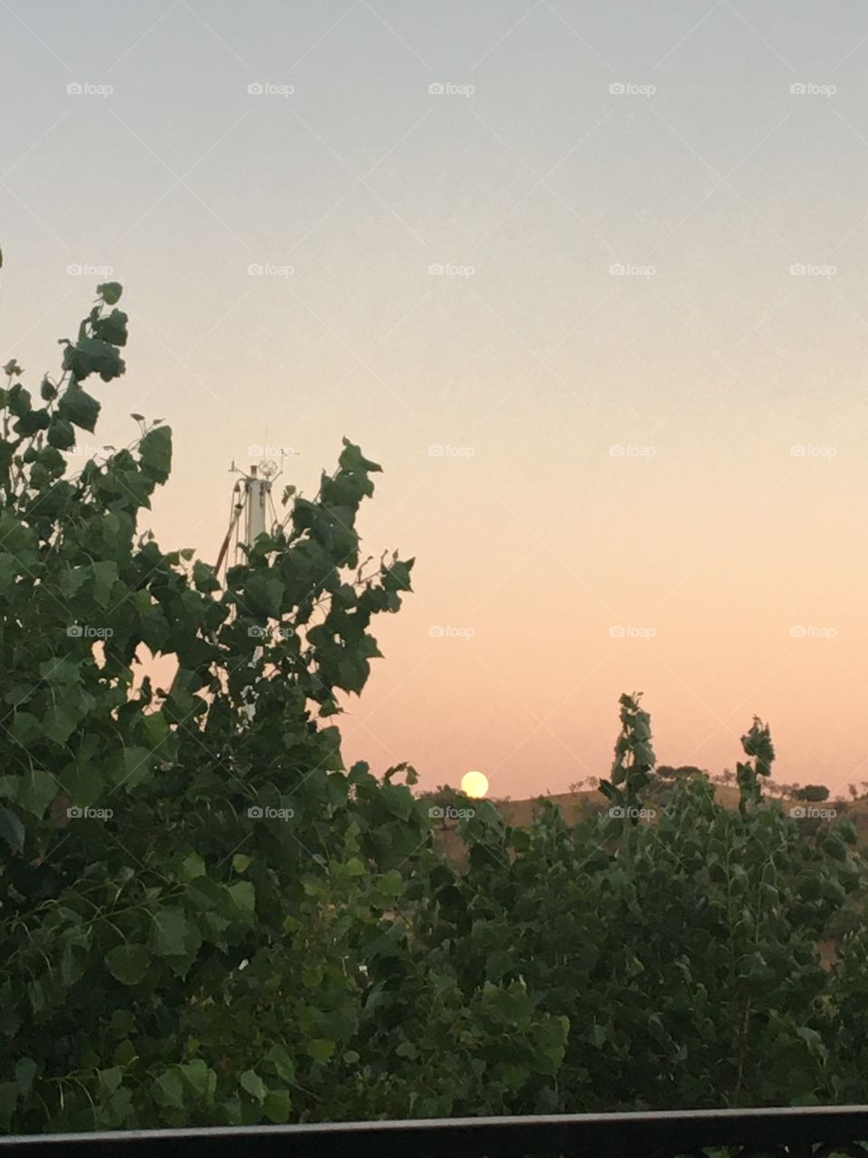 Moon rising up the hill