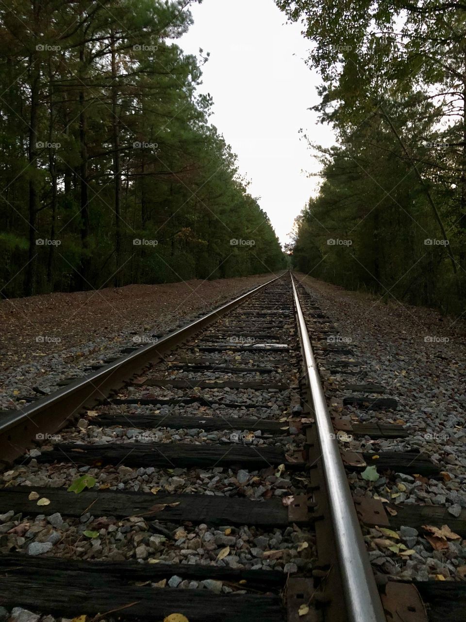 Railroad tracks at dusk