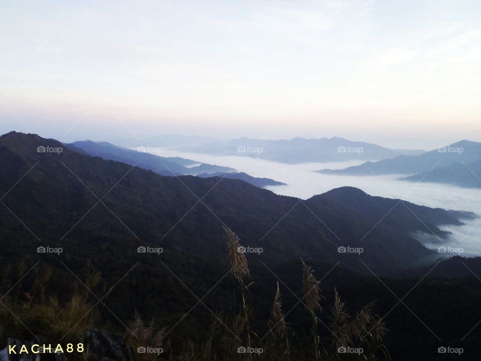 mist on Mountain