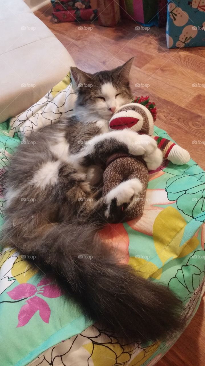 Sofi in dreamland with her favorite toy