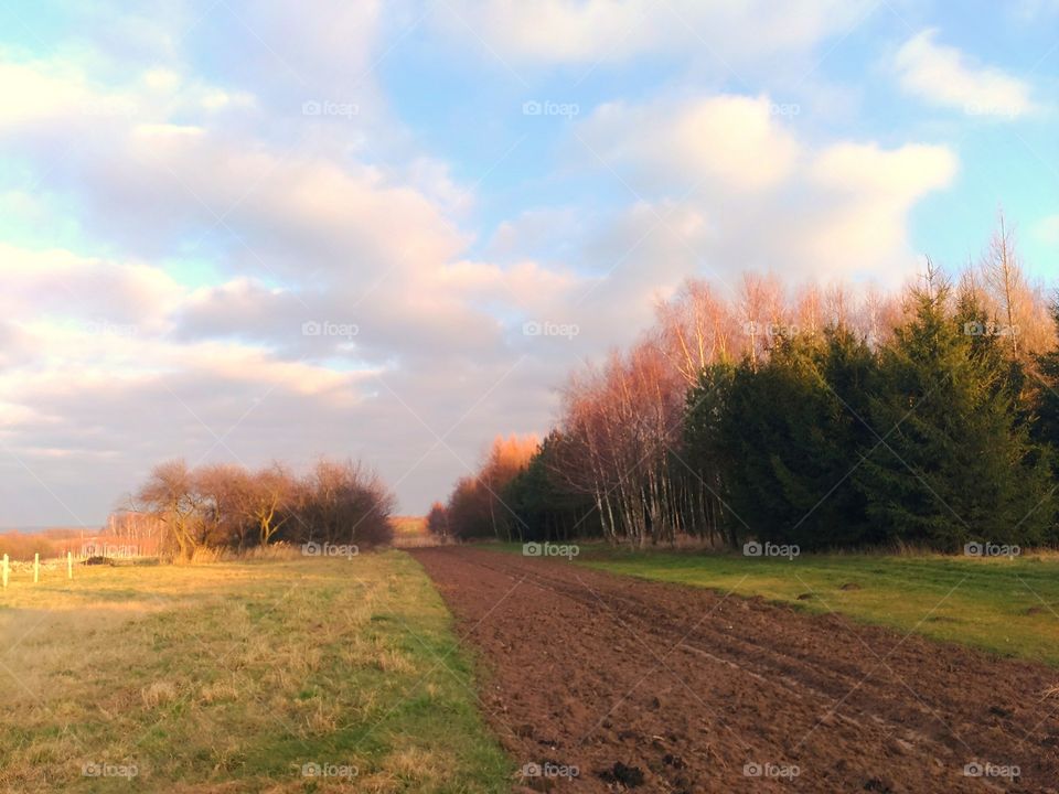 First Day od year2020