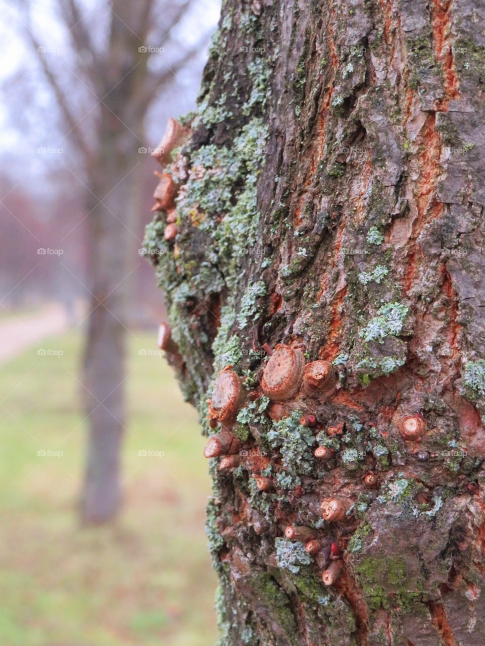 Im Park die Nähe der Natur
