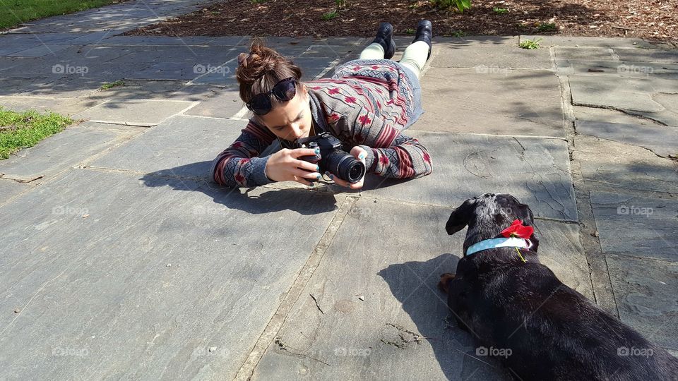 Woman taking photograph of a dog with camera