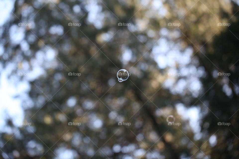 Close-up of bubble against blurred background
