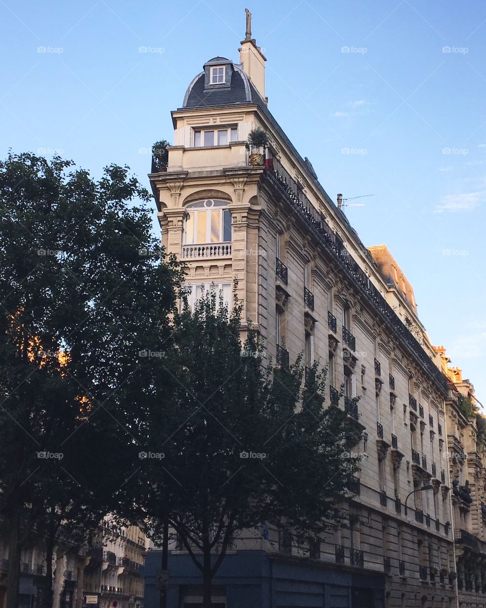 An old triangular building in Paris, France
