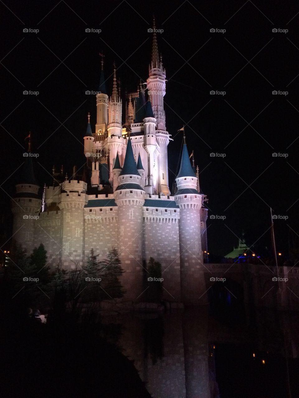 Cinderella's Castle Reflection. Reflection of the castle at night in Walt Disney World