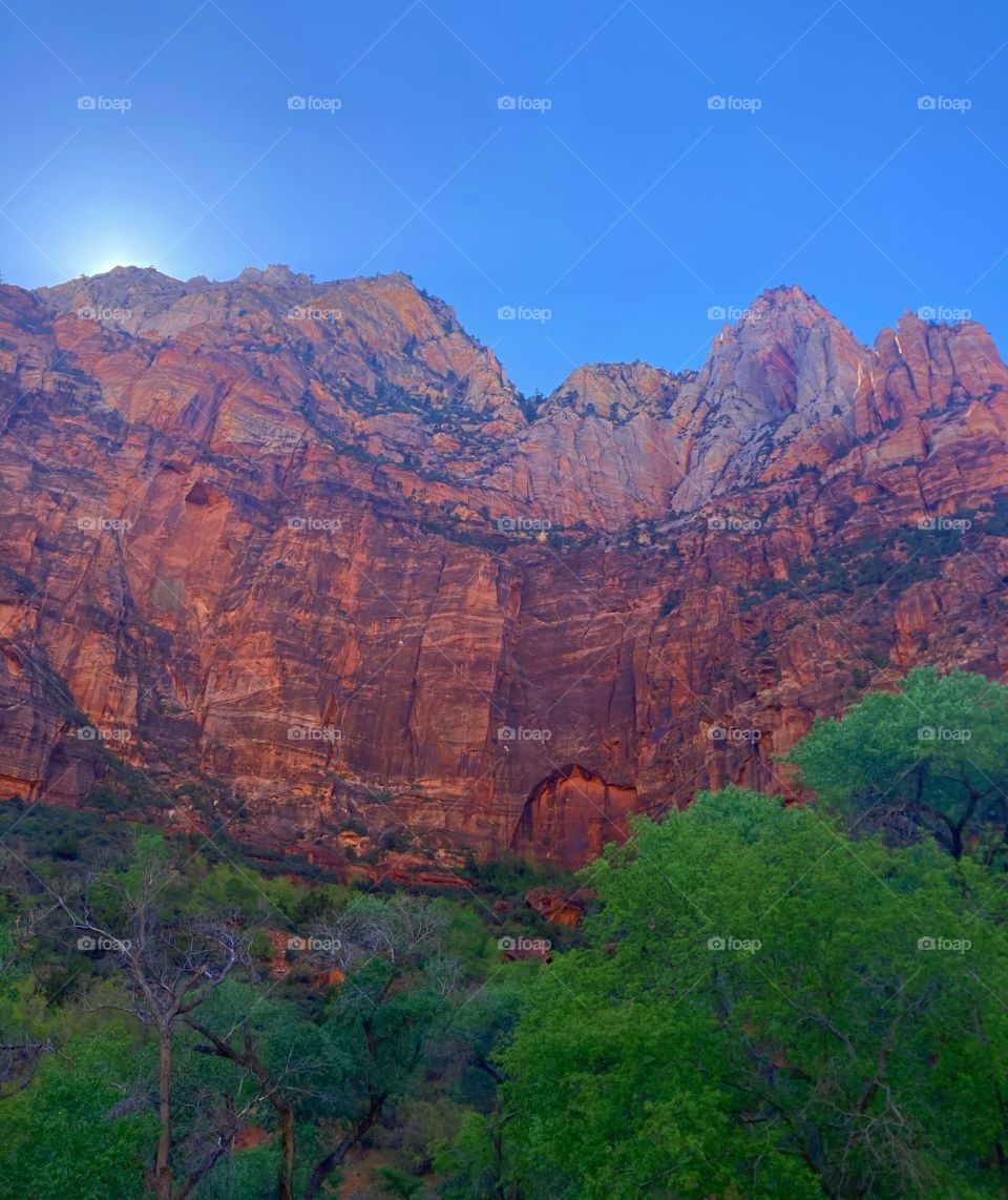Zion national park 