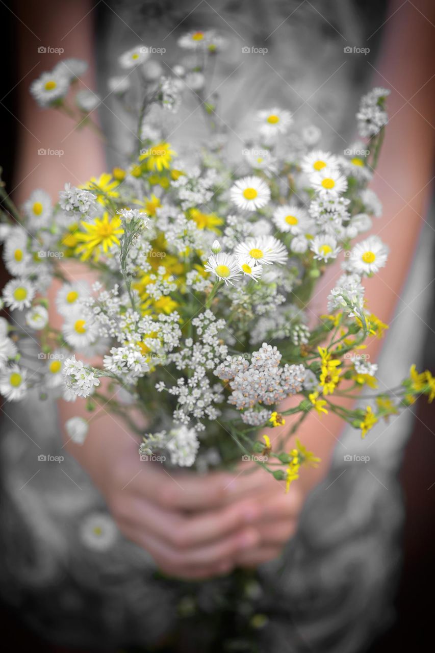 Daisies in hands, uncultivated flowers are the prettiest