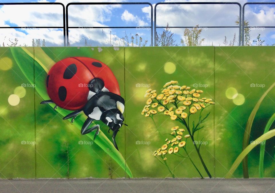 Ladybird painting streetwall decor 