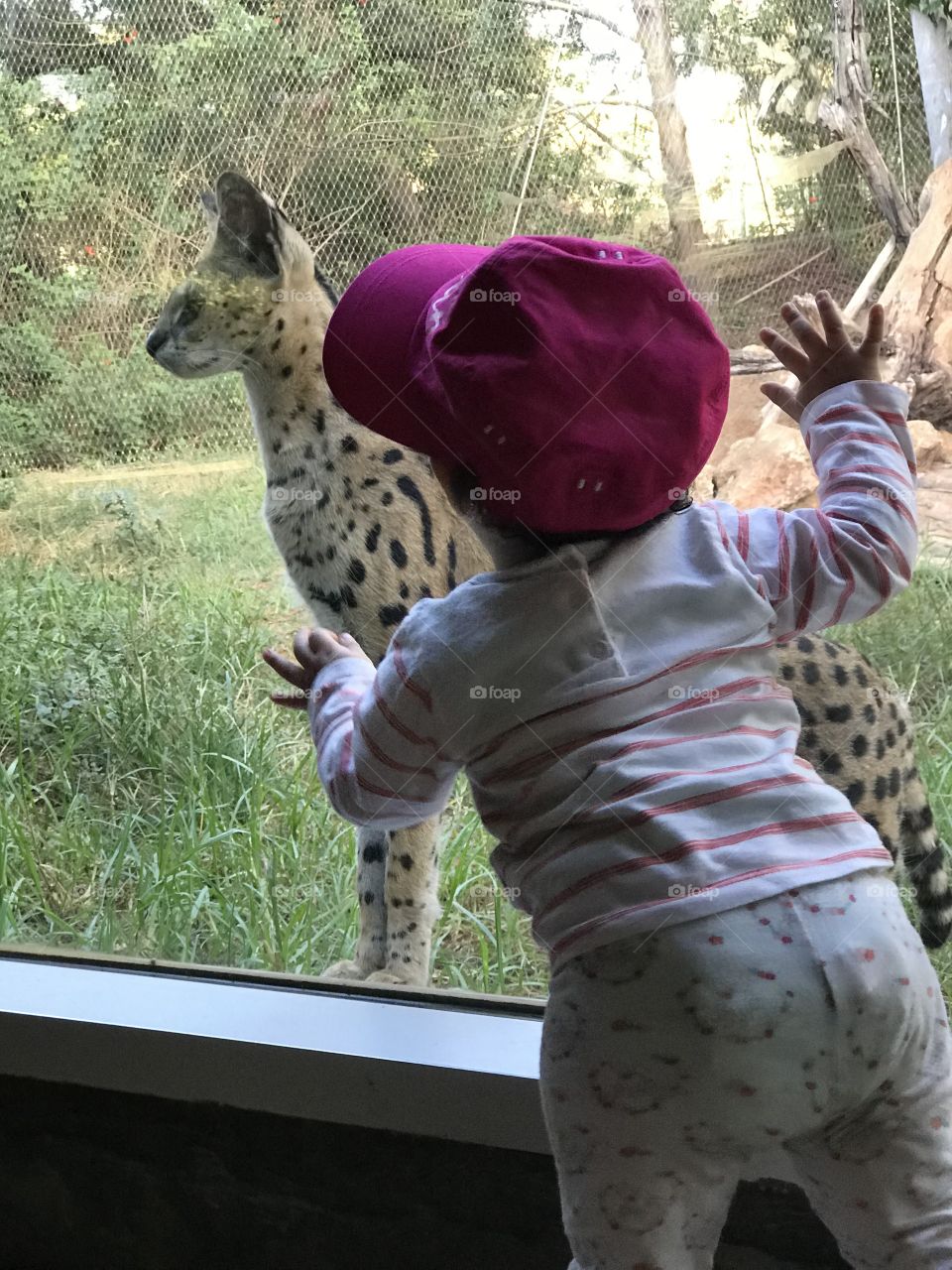 Baby in zoo 