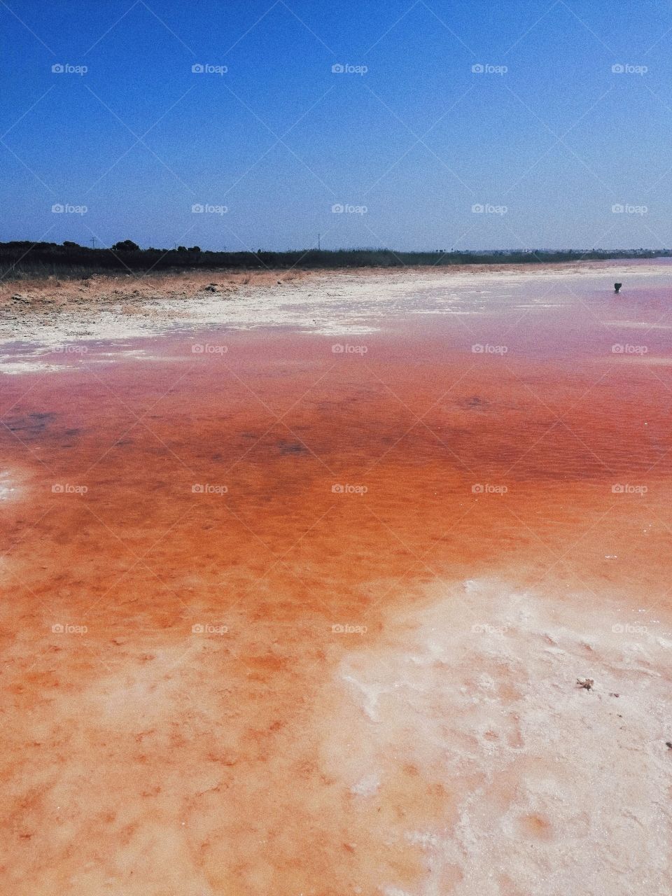 Pink lake