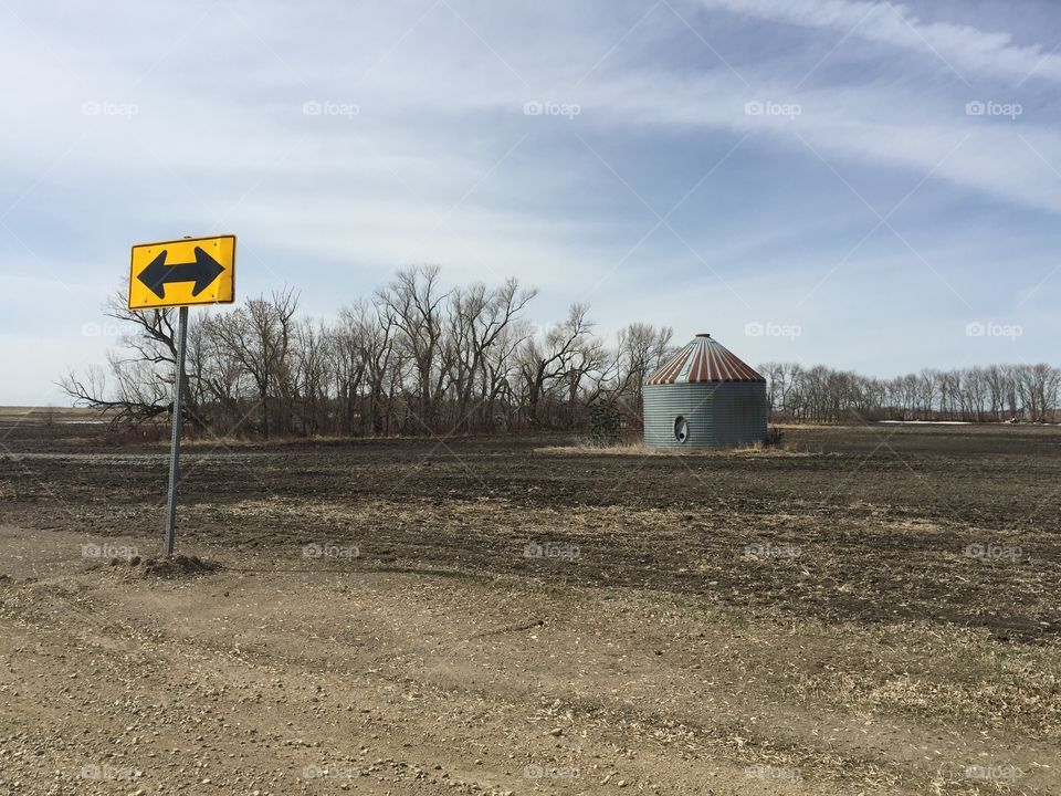 Farm, Agriculture, No Person, Landscape, Outdoors