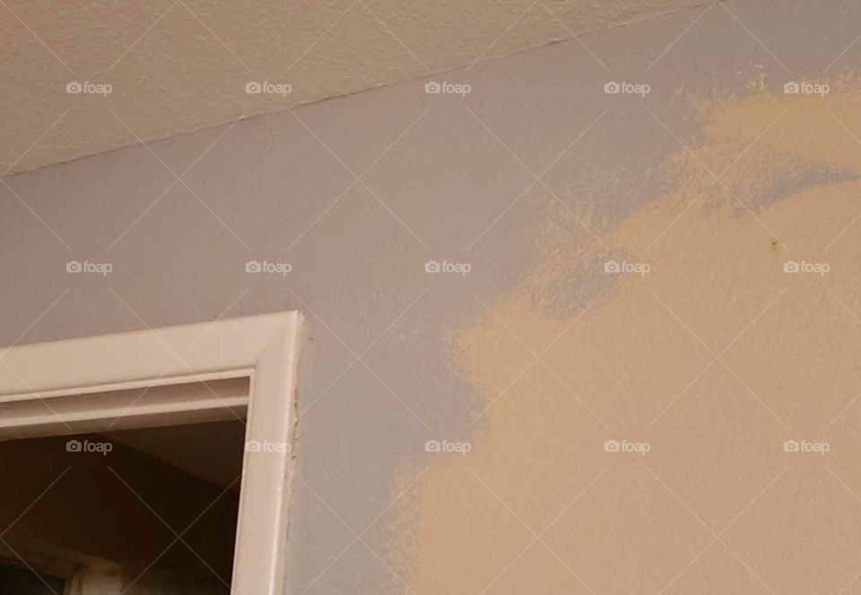 a new color, a new look