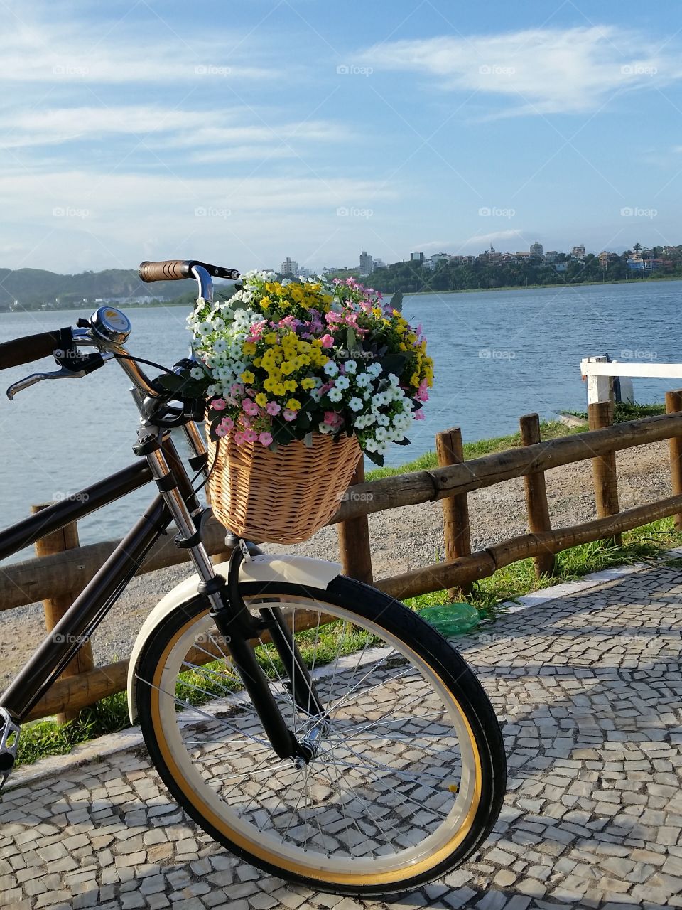 Flower bike