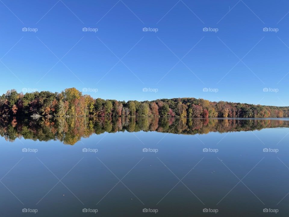 Mirror image landscape at the lake 